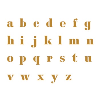 ǰ̹