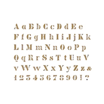 ǰ̹
