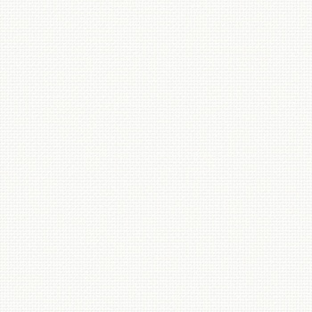 ǰ̹