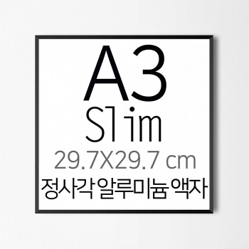 ǰ̹